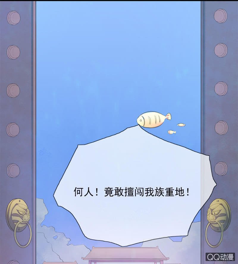 决心