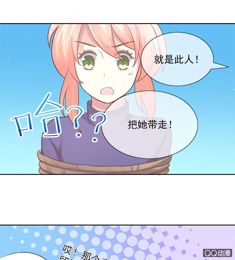 决心