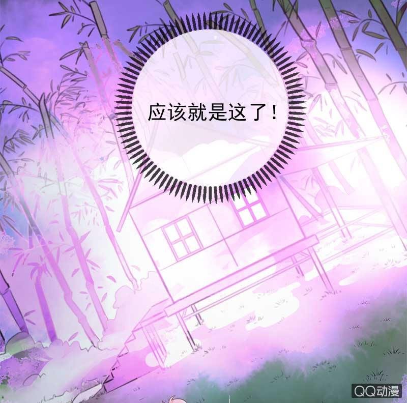 全家福
