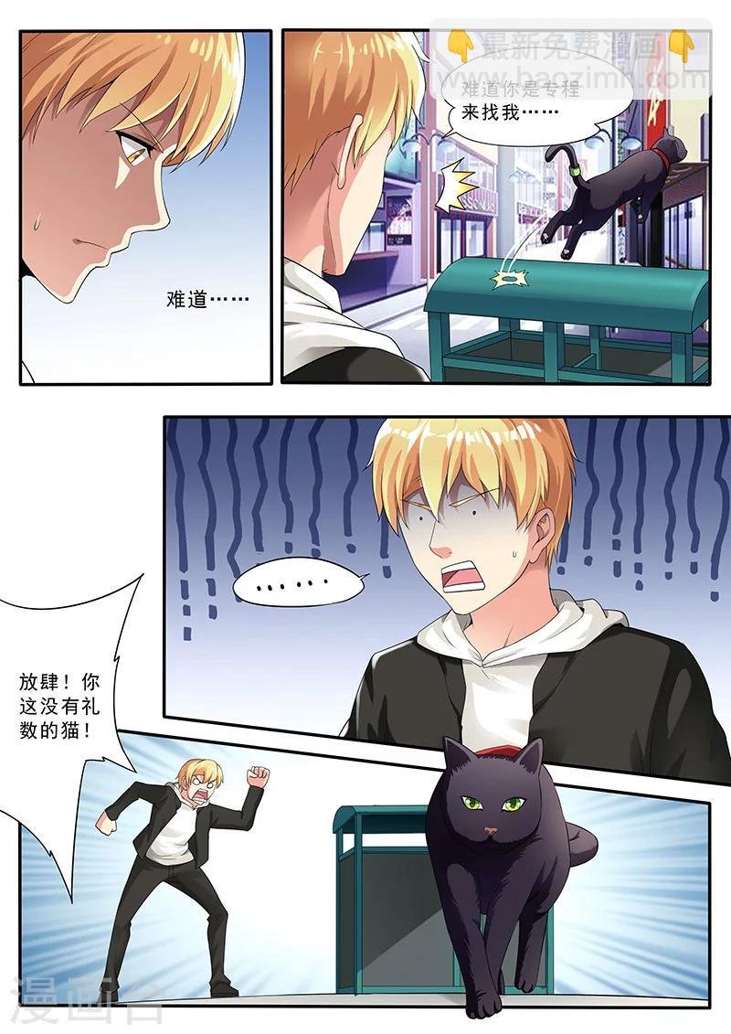 第3话 黑猫伴随梦境来