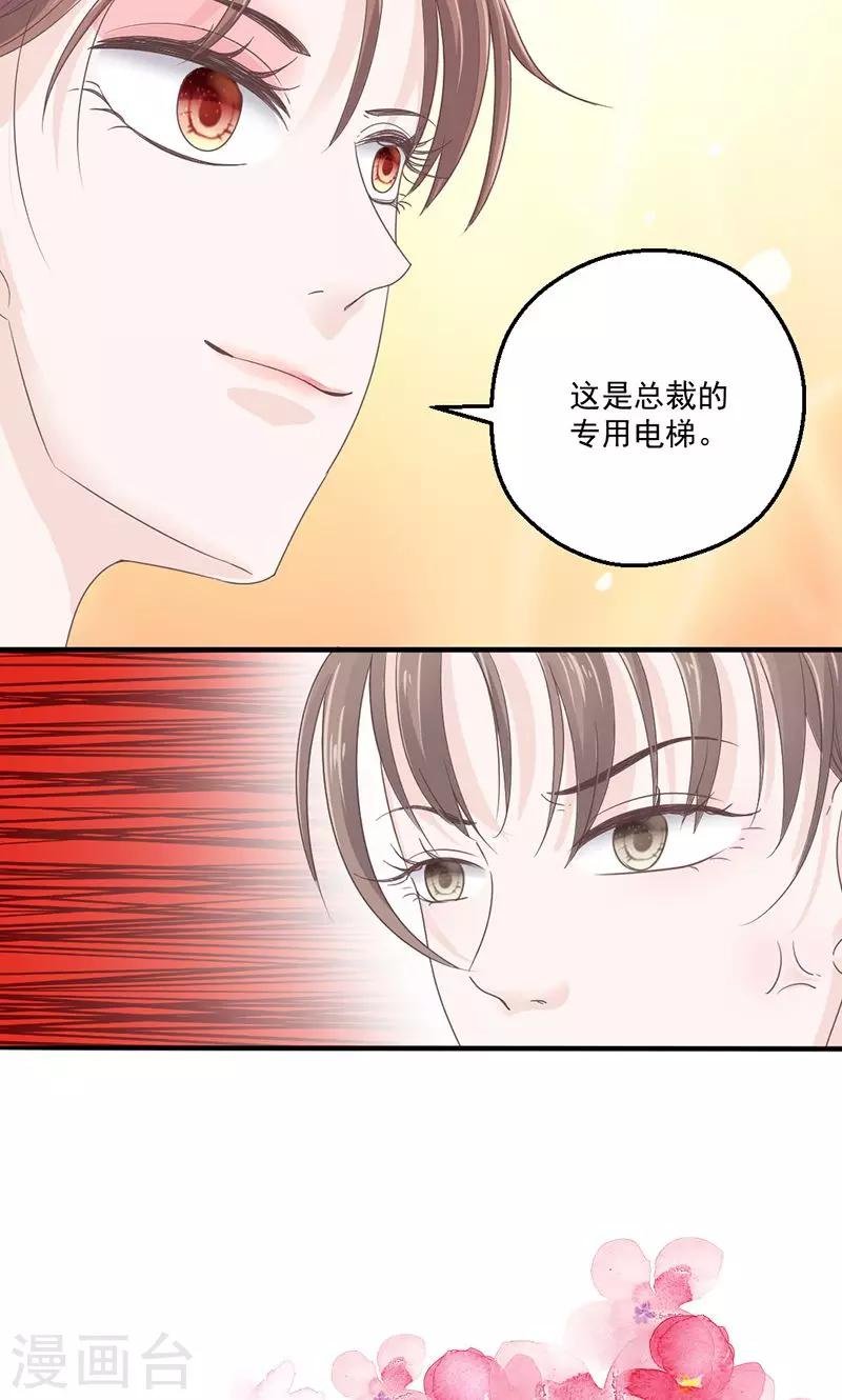 第73话 强行壁咚