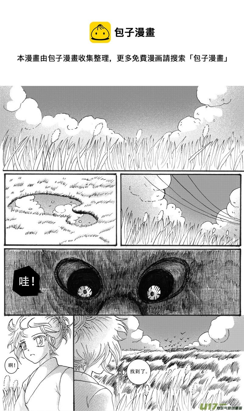 13.乌鸦 （2）