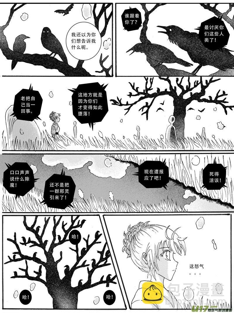 13.乌鸦 （2）
