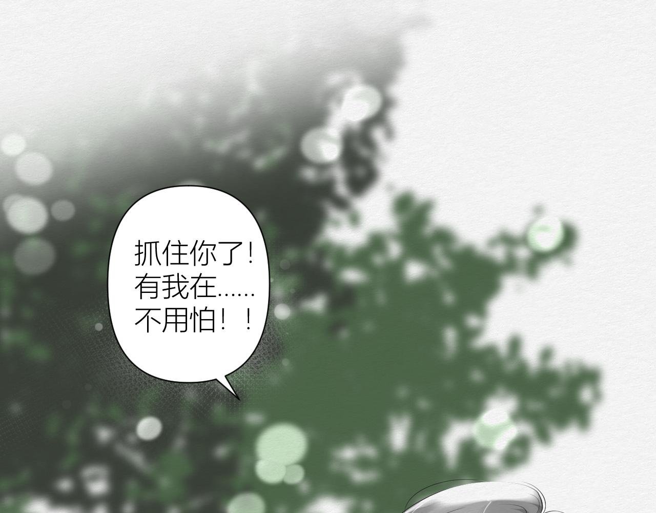 重逢与初见