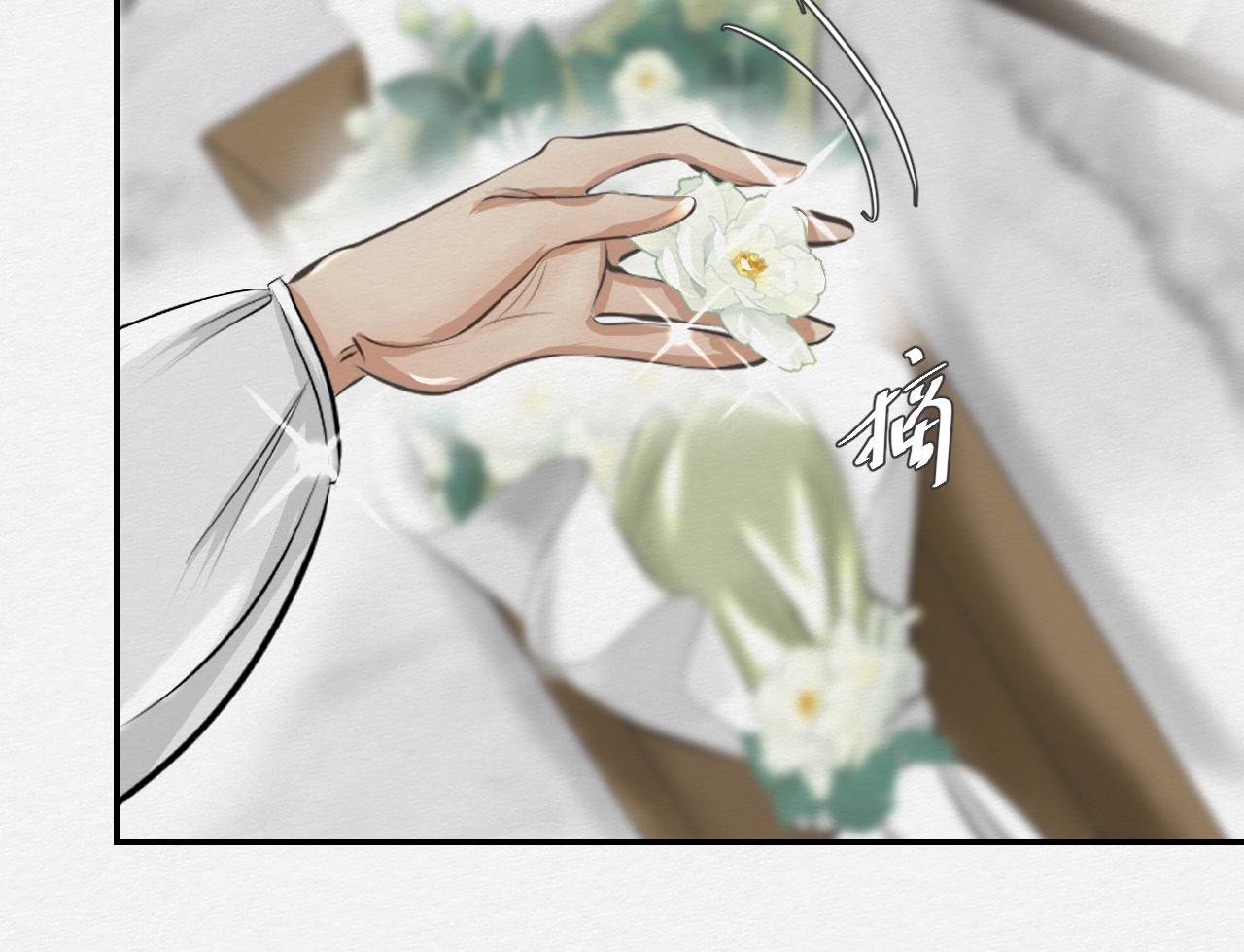 山茶花
