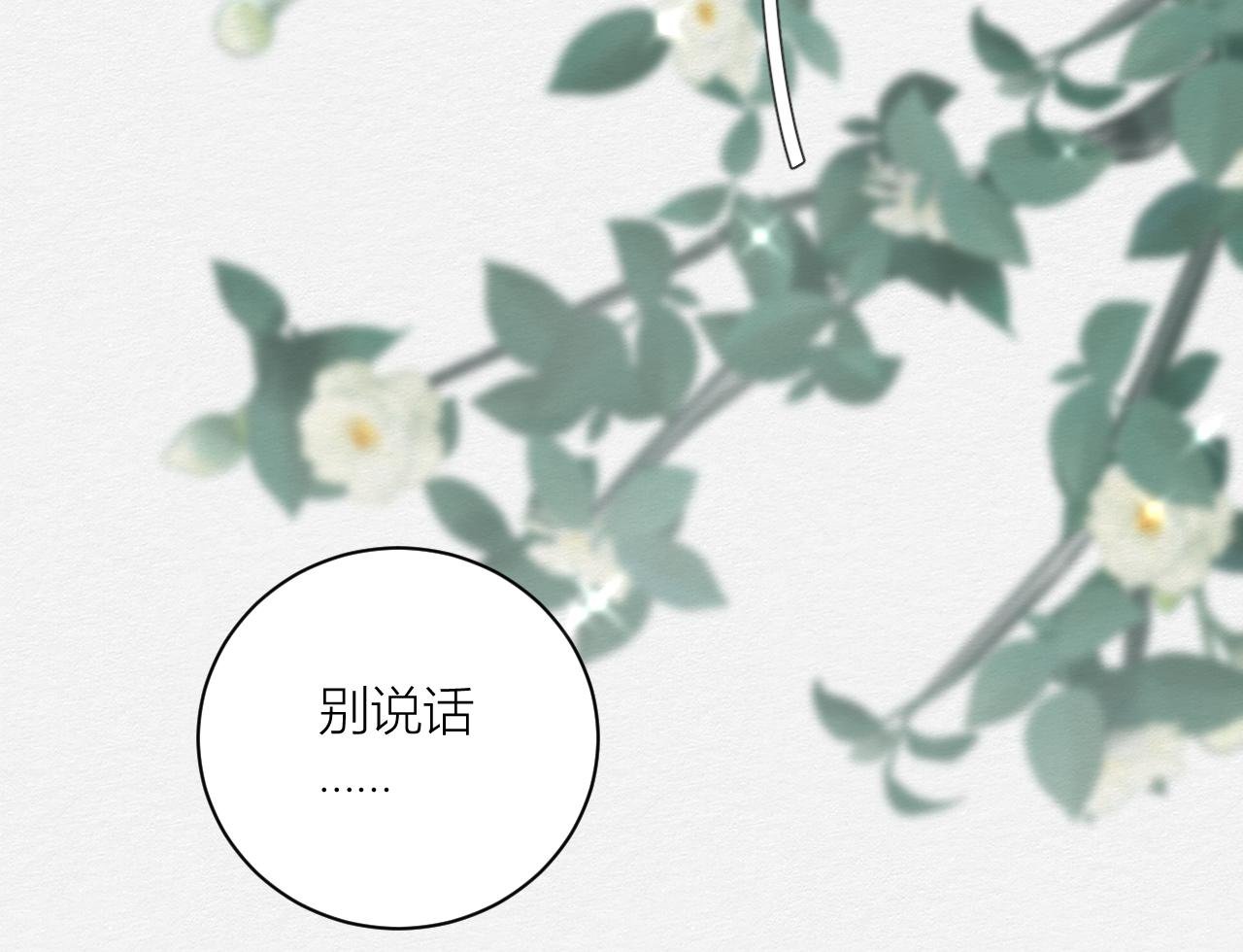 山茶花
