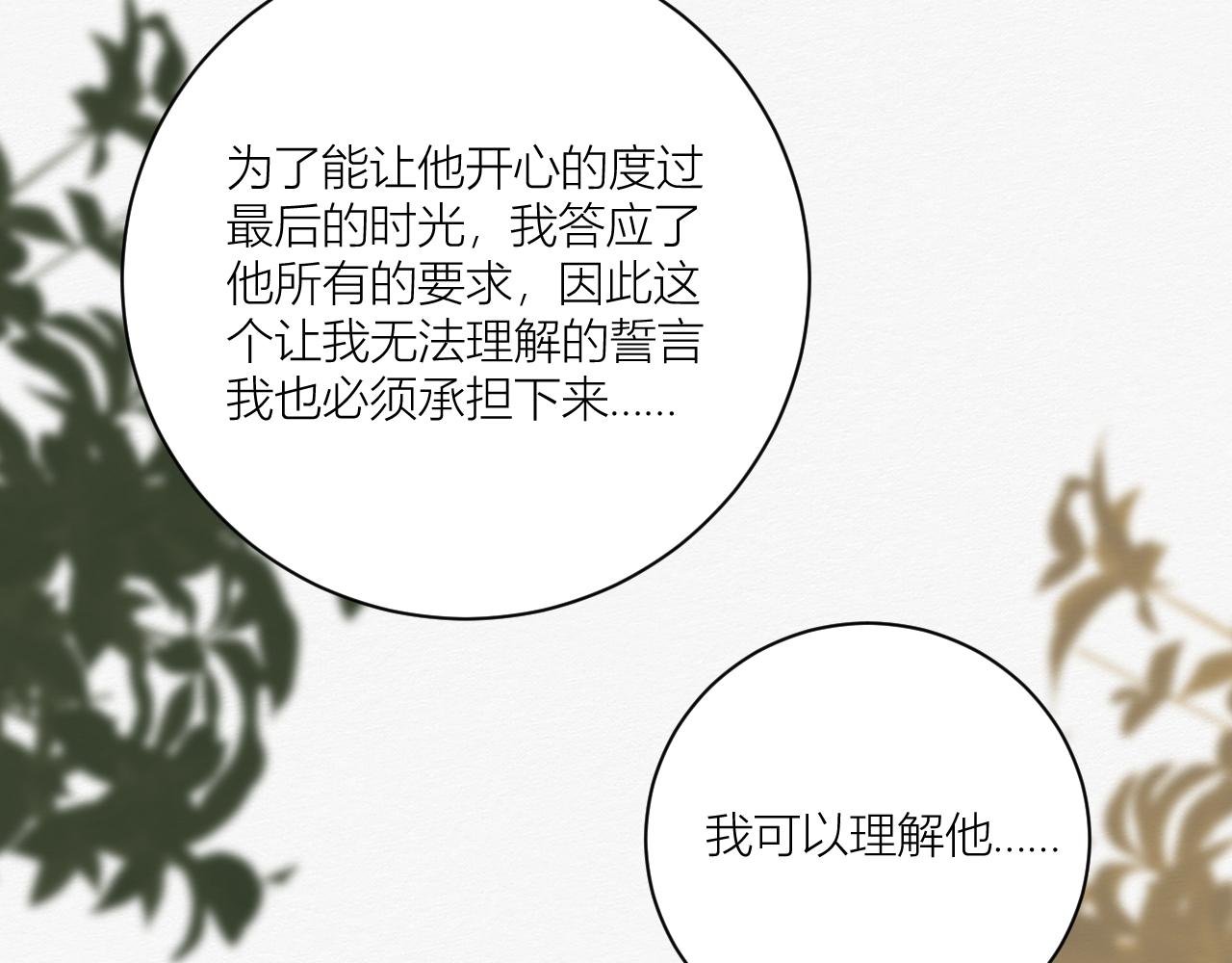 前任之约（下）