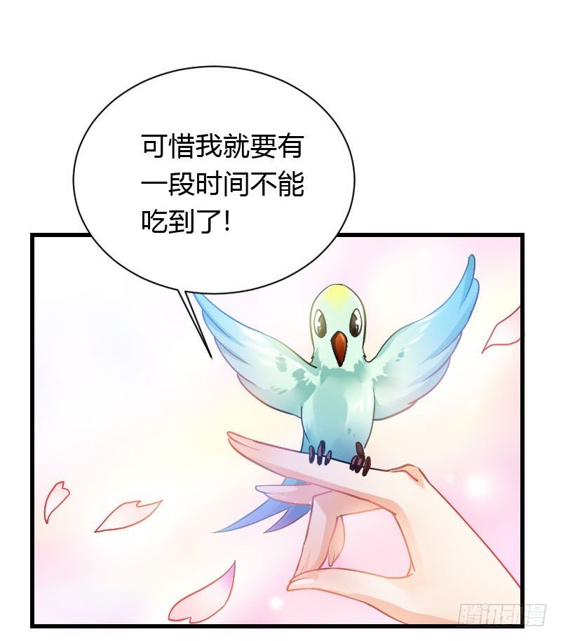 我一直在找你