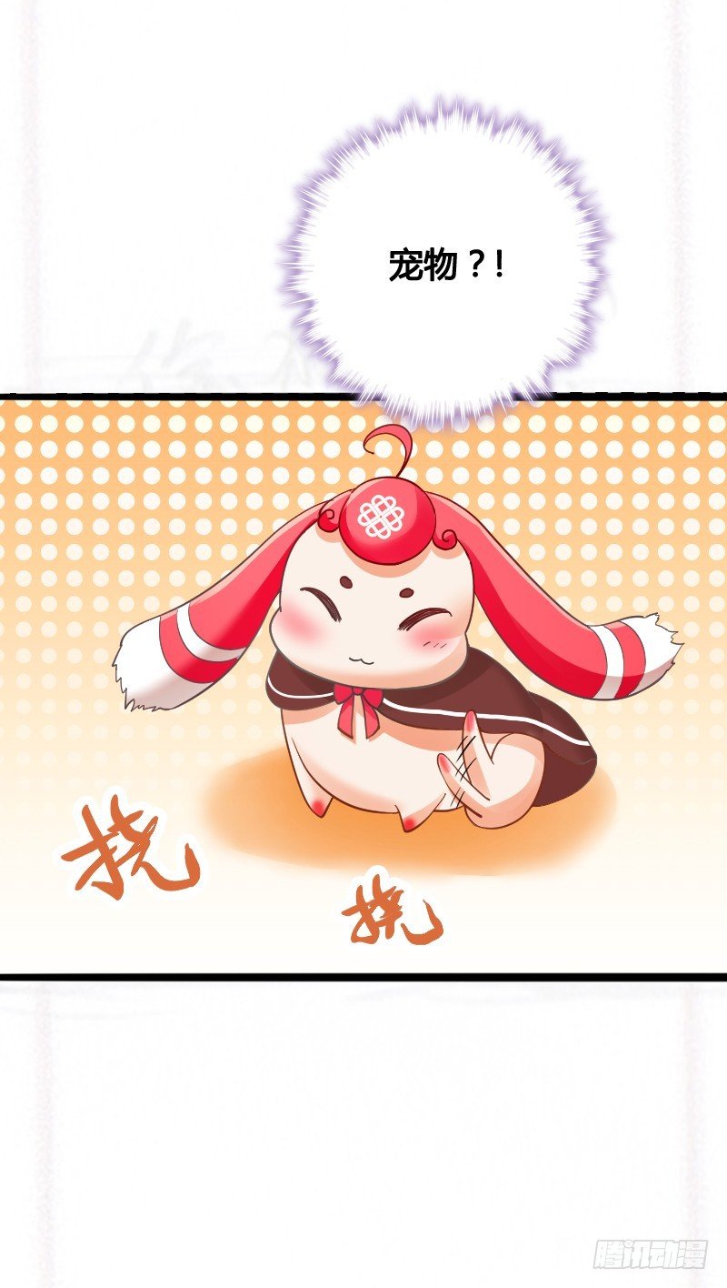 63 谜一样的受伤！