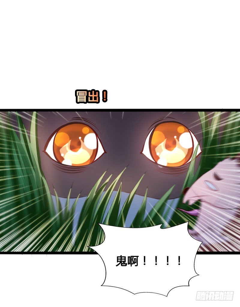68 小可爱不知去向