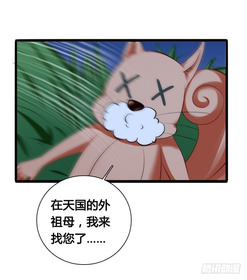 68 小可爱不知去向