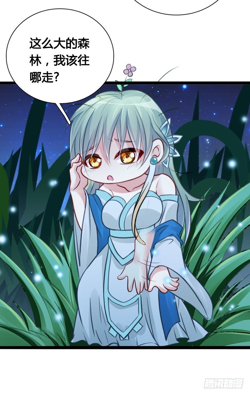 68 小可爱不知去向