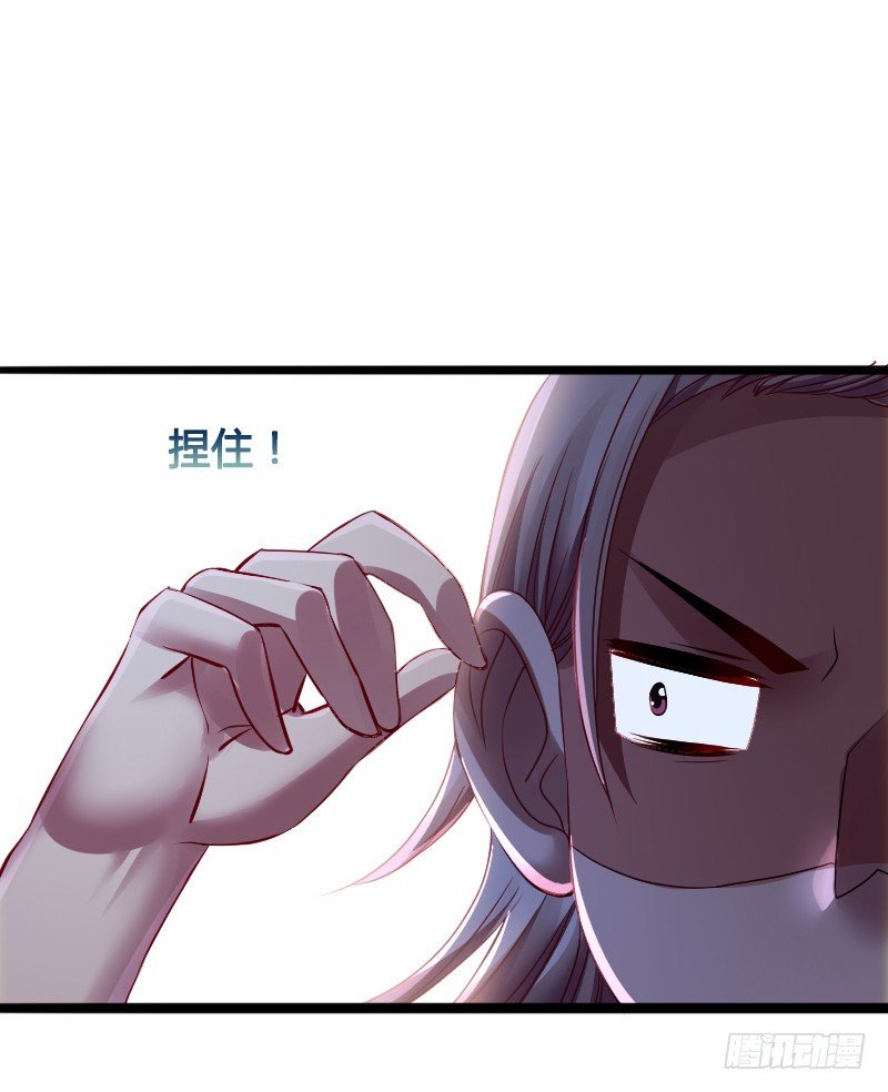 68 小可爱不知去向