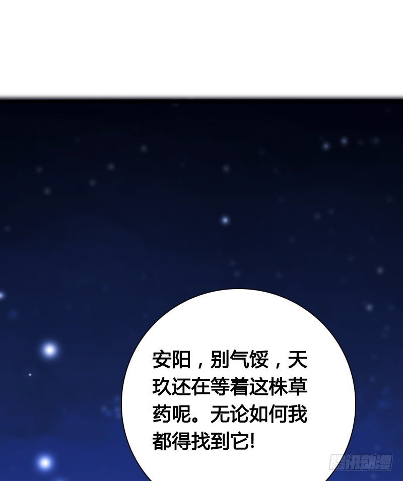 70 用情