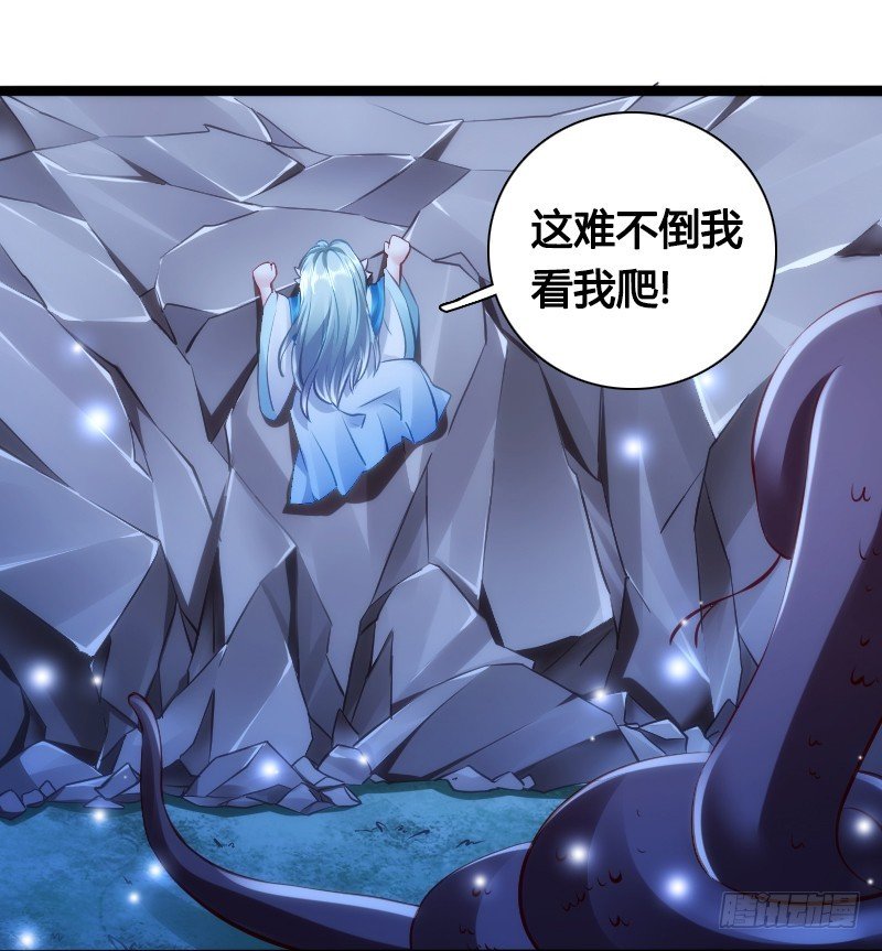 71 这么可爱，能不吃我么？