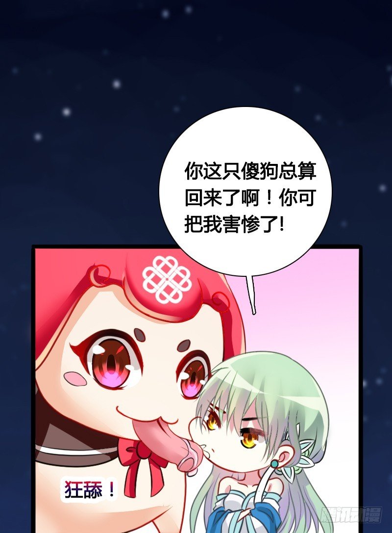 71 这么可爱，能不吃我么？