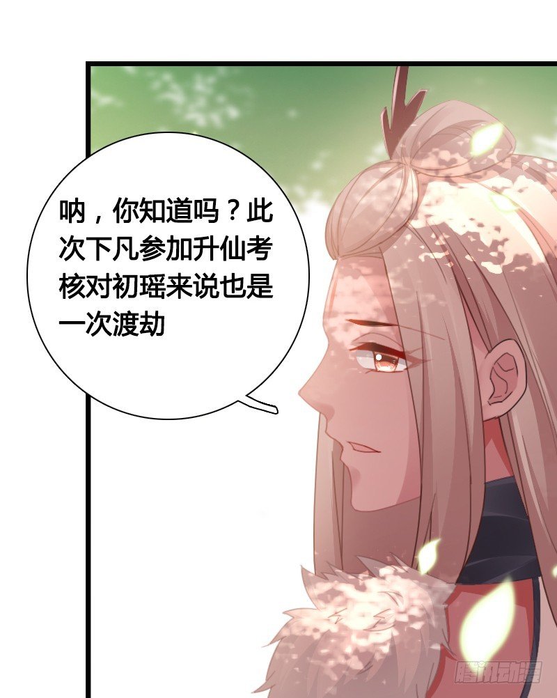 74 一切的真相