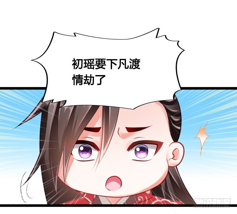 74 一切的真相