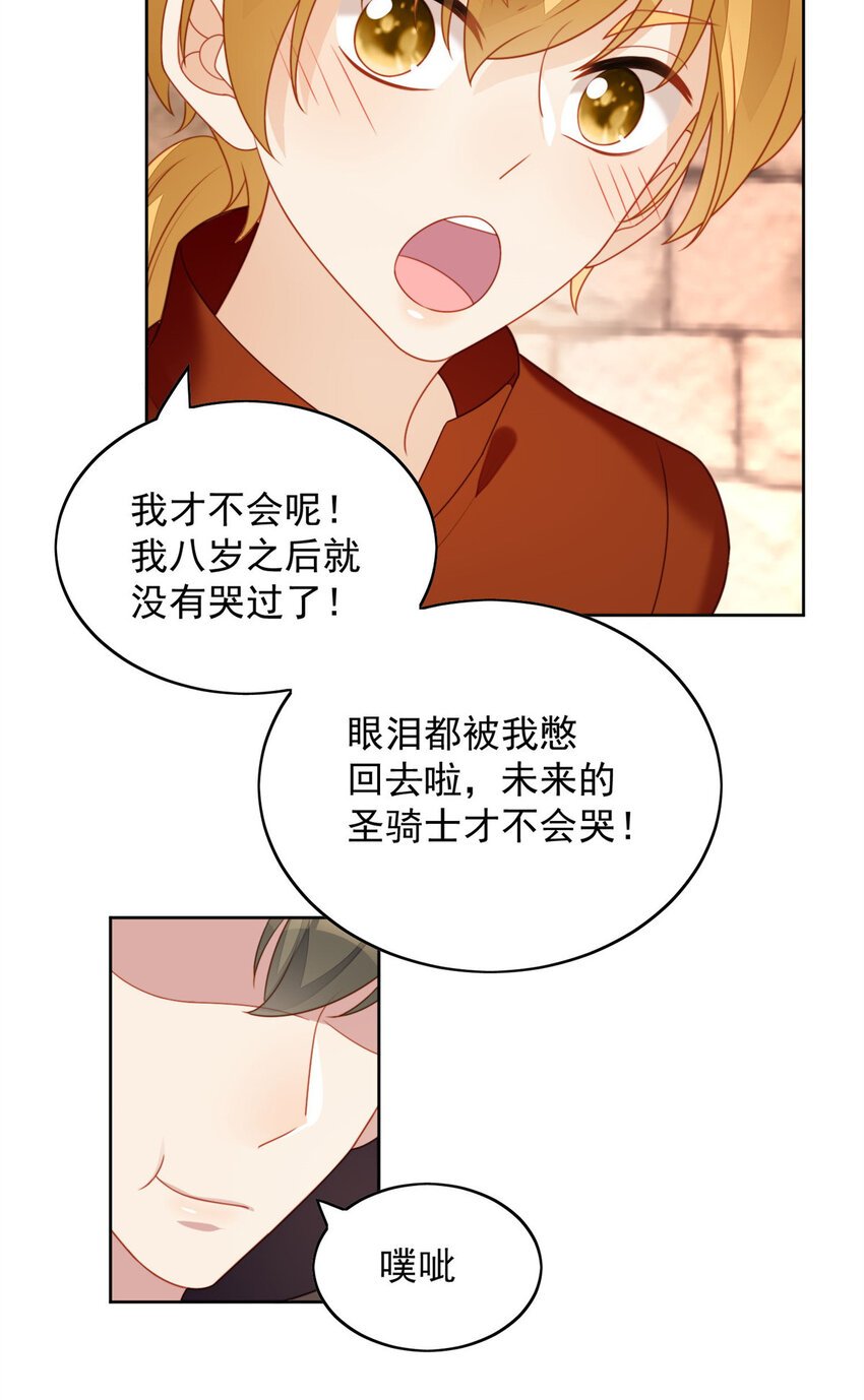 第35话 骑士的往事