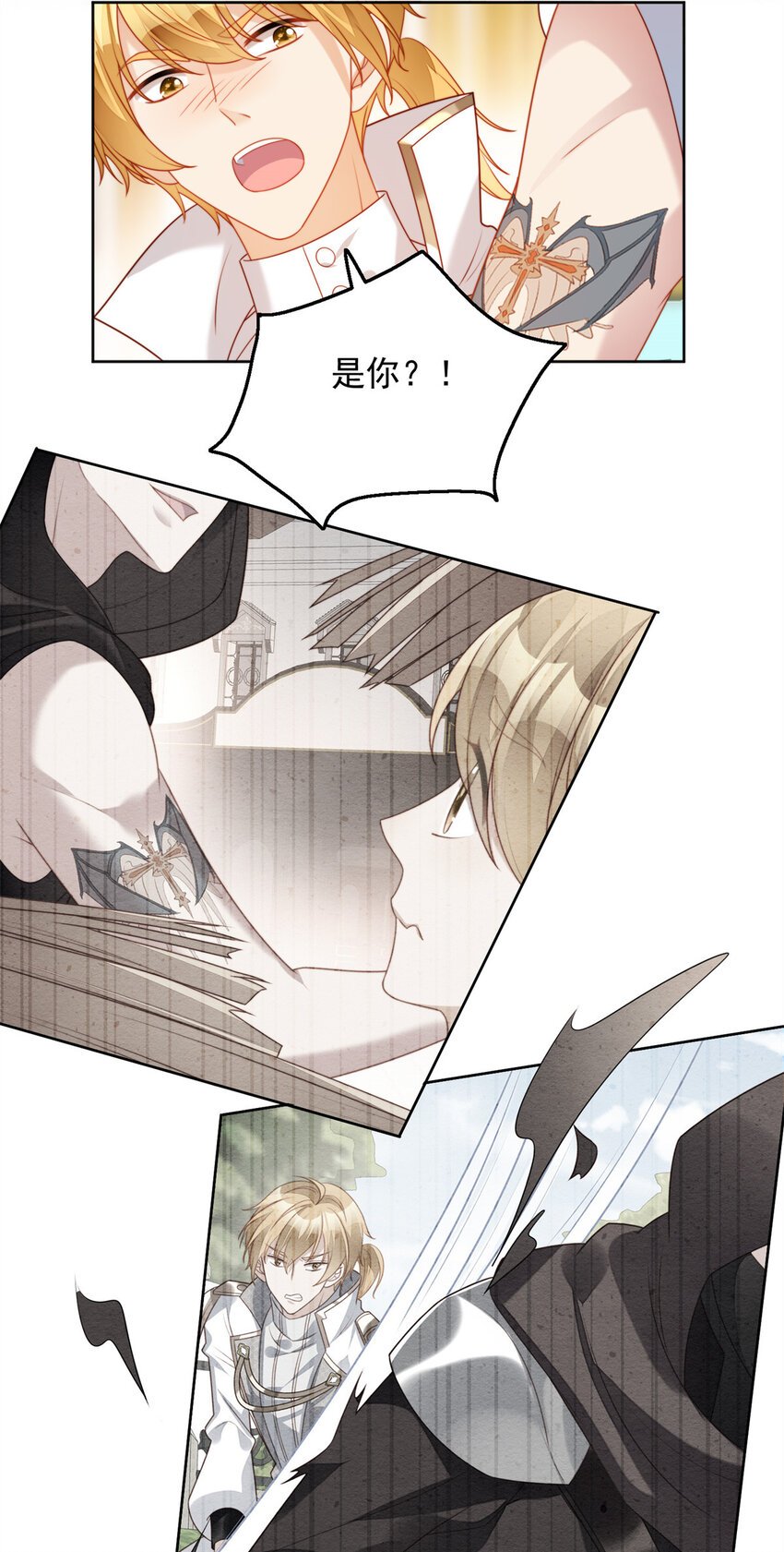 第37话 骑士的守护