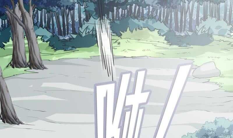 第114话 寻龙珠