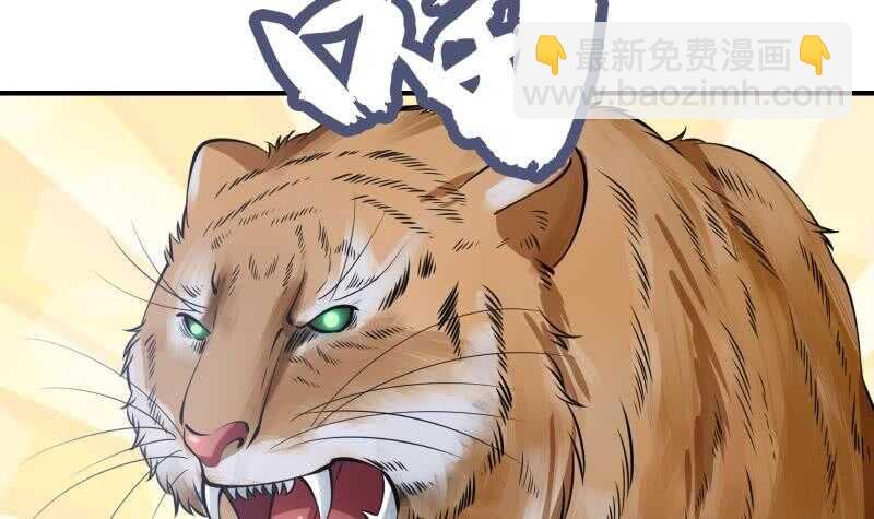 第133话 偶遇猛虎