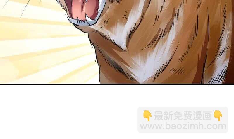 第133话 偶遇猛虎