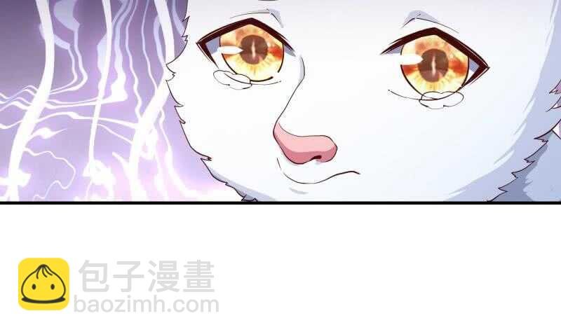 第146话 胆敢欺负我的狗