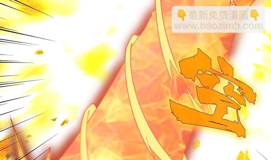 第205话 朱雀翼