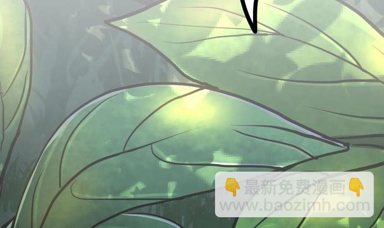 第26话 乌甲狮鹫