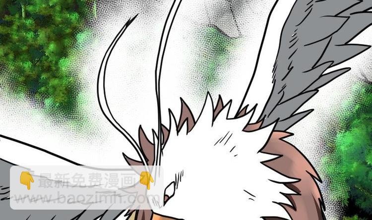 第27话 千炎花，入手！