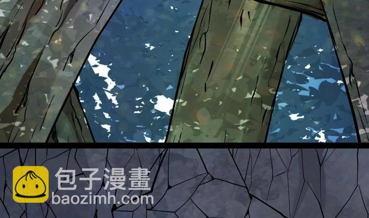 第33话 降露草