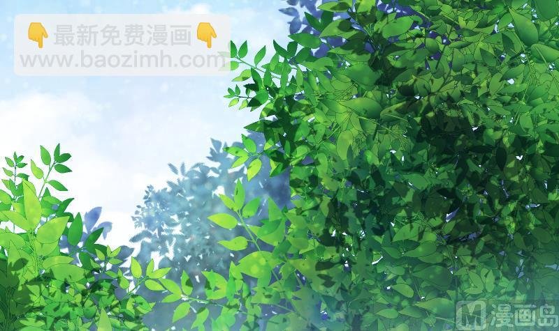 第56话 国宝熊猫？