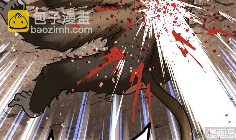 第56话 国宝熊猫？