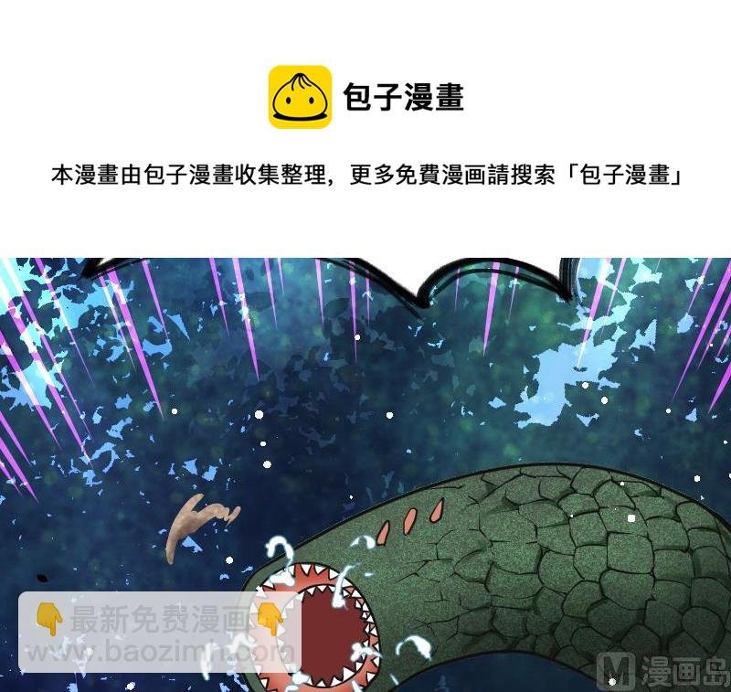 第56话 国宝熊猫？