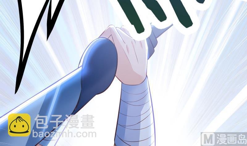 第66话 灵宠
