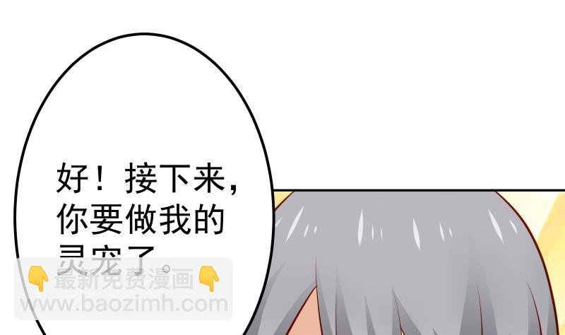第66话 灵宠