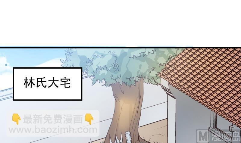 第88话 林家擂台赛