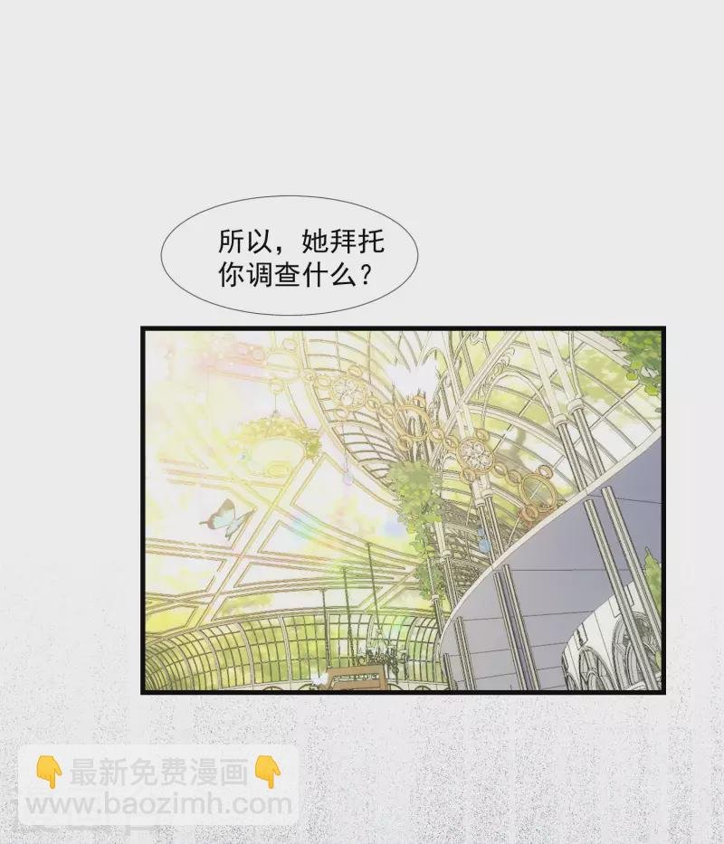 第26话 金色的斯特里特