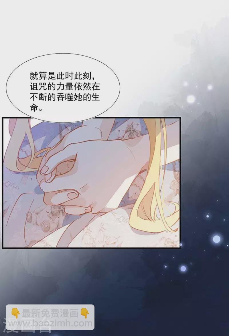 第26话 金色的斯特里特