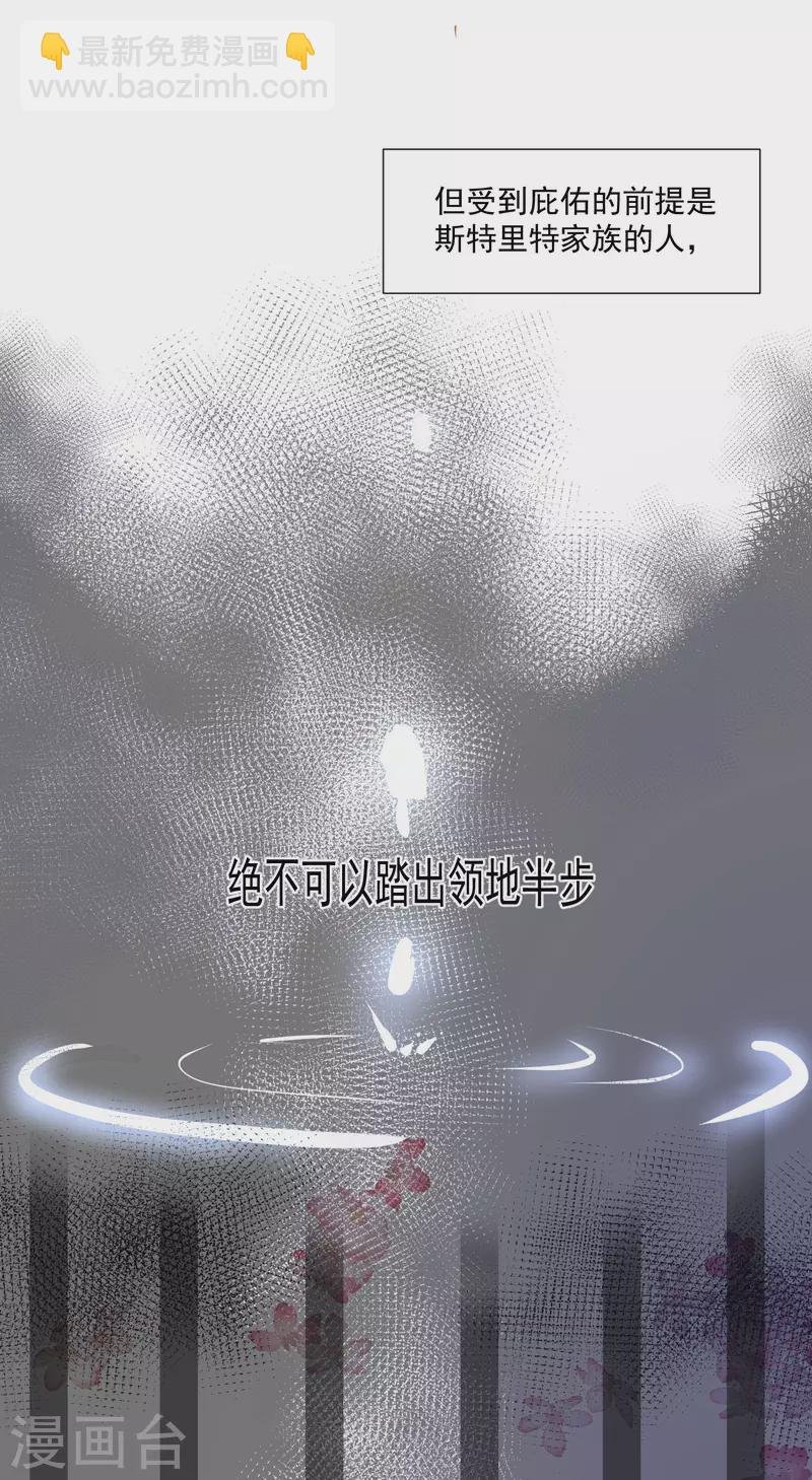 第26话 金色的斯特里特