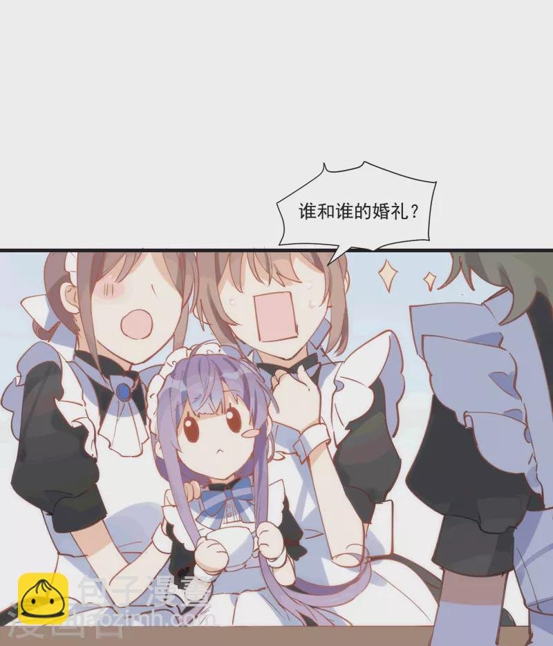 第29话 小鸟