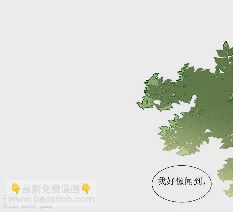第32话 静观其变