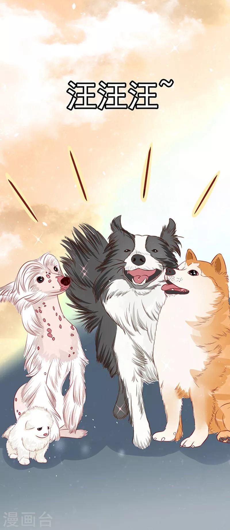 第43话 隐形毛绒控