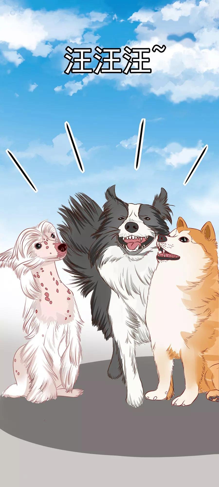 第49话 羊驼齐修