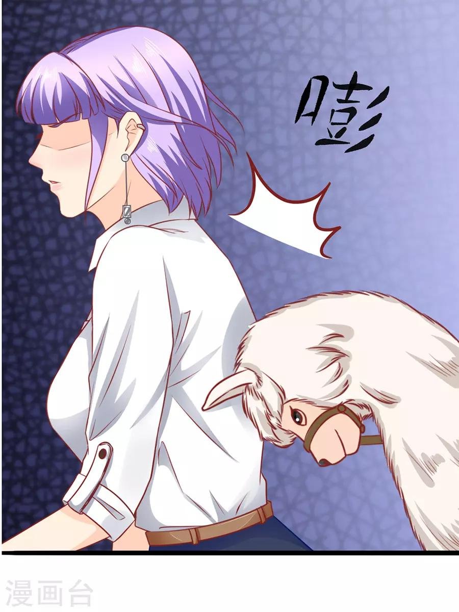 第50话 缘分
