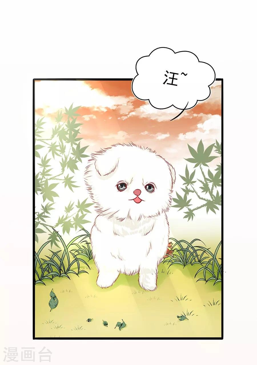 第55话 下厨