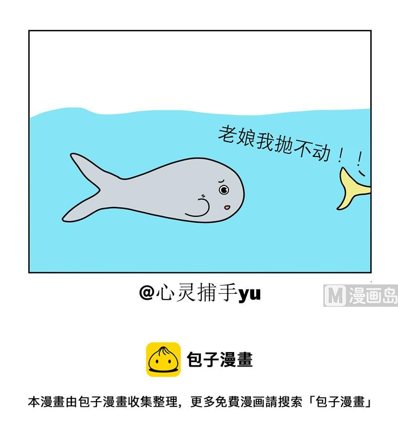 抛不动