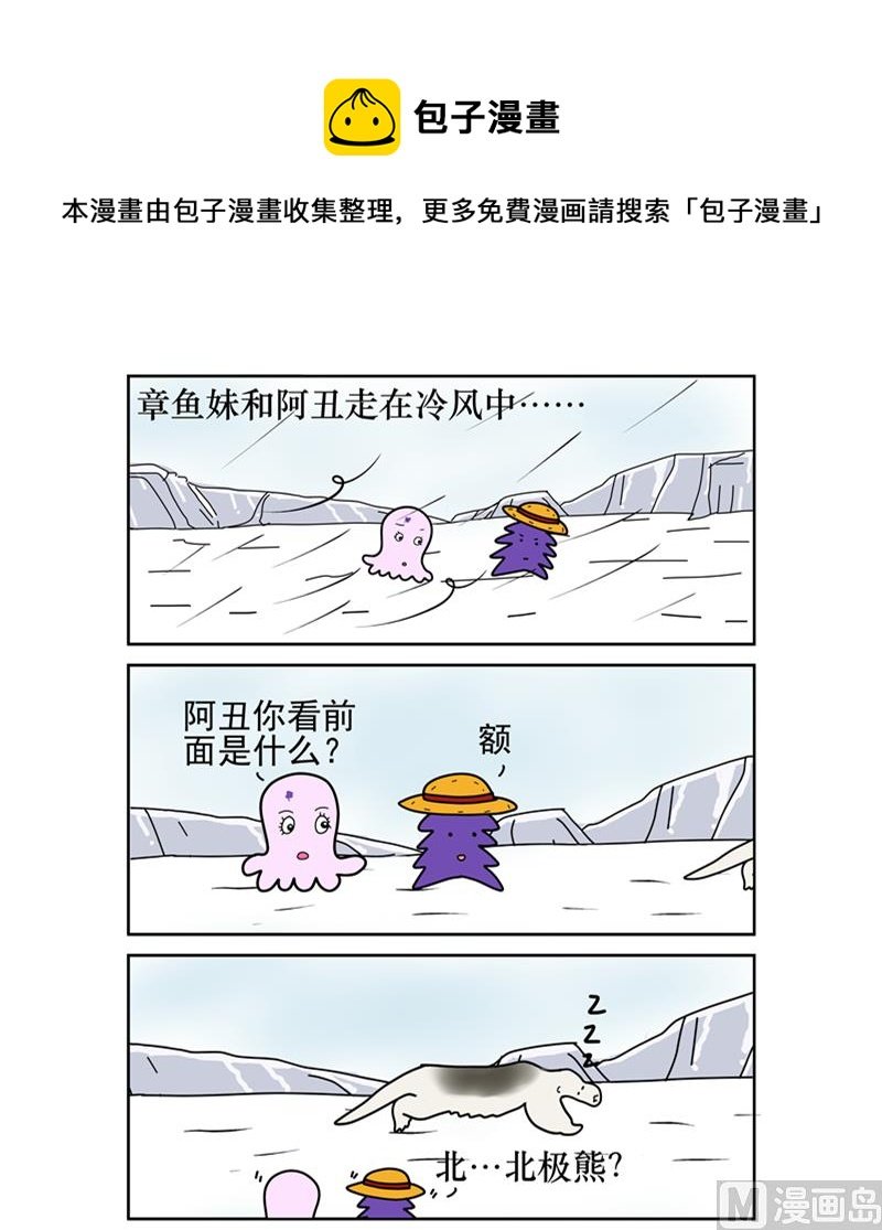 你是北极熊吗