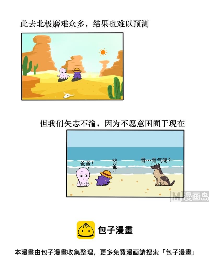 你是北极熊吗